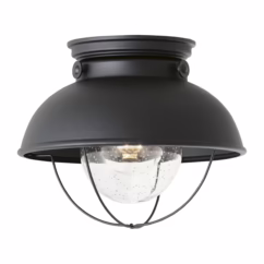 Sebring Outdoor Ceiling Light in Black