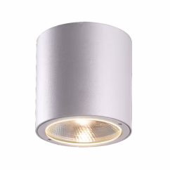 Sky 1-Light Ceiling Light in Aluminum