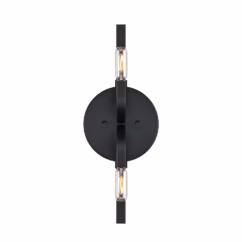 Skye 2-Light Wall Sconce in Matte Black