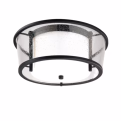 Troy Bennington 2-Light Ceiling Light in Forged Bronze