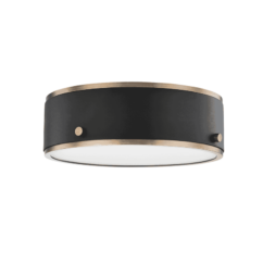 Troy Eli Ceiling Light