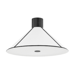 Troy Forrest 2-Light Ceiling Light