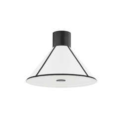 Troy Forrest Ceiling Light
