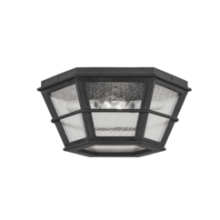 Troy Lake County 2-Light Ceiling Light in French Iron