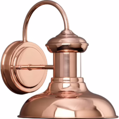 Cognac One Light Wall Lantern from the Brookside Collection