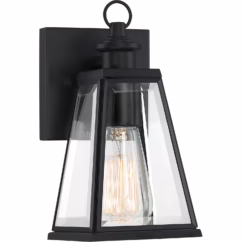 Paxton 1-Light